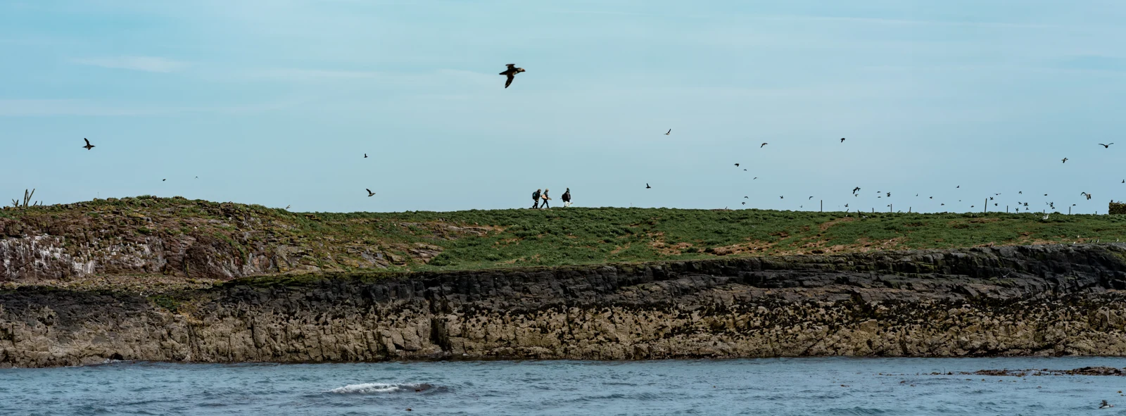 Two Figures Among Wings — United Kingdom