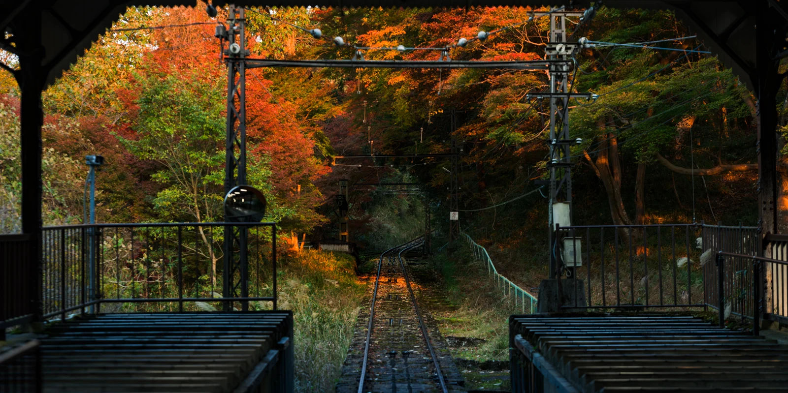 Autumn Passage — Japan